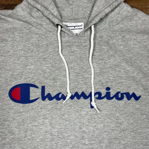 Champion Mens Middleweight T-Shirt Hoodie, Oxford Gray, Size L - Picture 6 of 9
